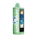 Peppermint Lost Mary MO20000 Pro Vape
