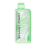 winter mint lost mary mt35000 turbo disposable vape